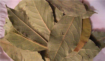 調味品香葉圖片 調味品香葉圖片